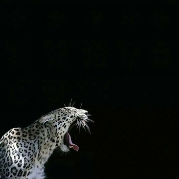 N1ko. - Old Town Road (Slowed)