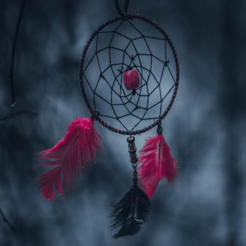 Munknorr - Asibikaashi