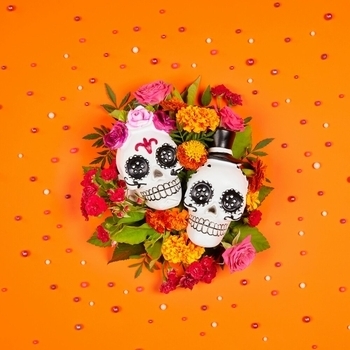 Larissa Desoul - Peaches (from "The Super Mario Bros. Movie") (Originally Performed by Jack Black)