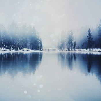 Krynoze - Setting Roots