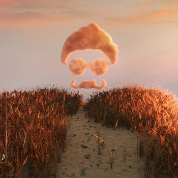 Luttrell - Operation Midnight