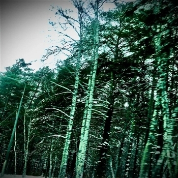 sønfy - goodbye, life