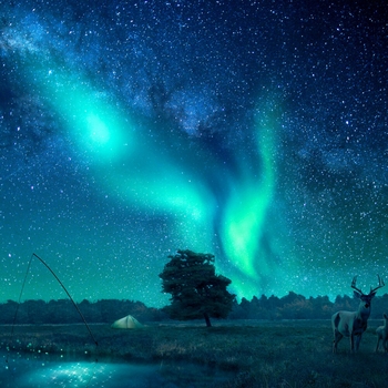 Vedat Atasoy - Dara Düştüm Dara (Furkan Demir Remix)