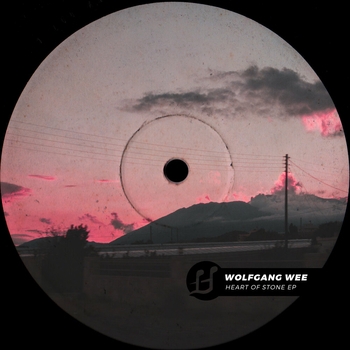 Wolfgang Wee - What I Like [feat. Chris Lie] (Edit)