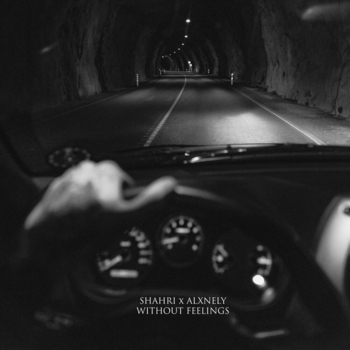 Shahri - Без чувств (ALXNELY Remix)