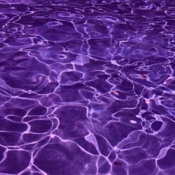 SIPPIN RECORDS - WHITE RUSSIAN