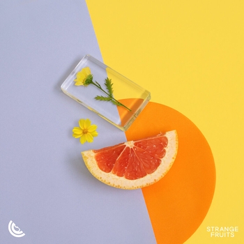 Tara McDonald - I Need A Miracle (Andros Remix)