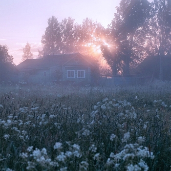 singsoni - I Still Remember