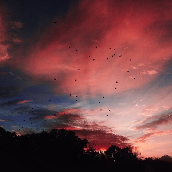 Nutakoe - Мчимся по степи