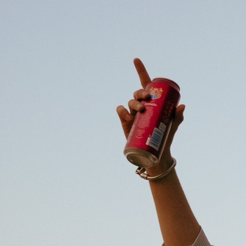 Shelter 12 - Willhelm Tell me (Mischgewebe Remix)