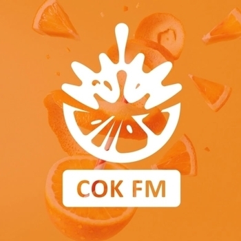 Радиостанция Сок FM
